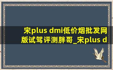 宋plus dmi(低价烟批发网)版试驾评测胖哥_宋plus dm-i试驾视频